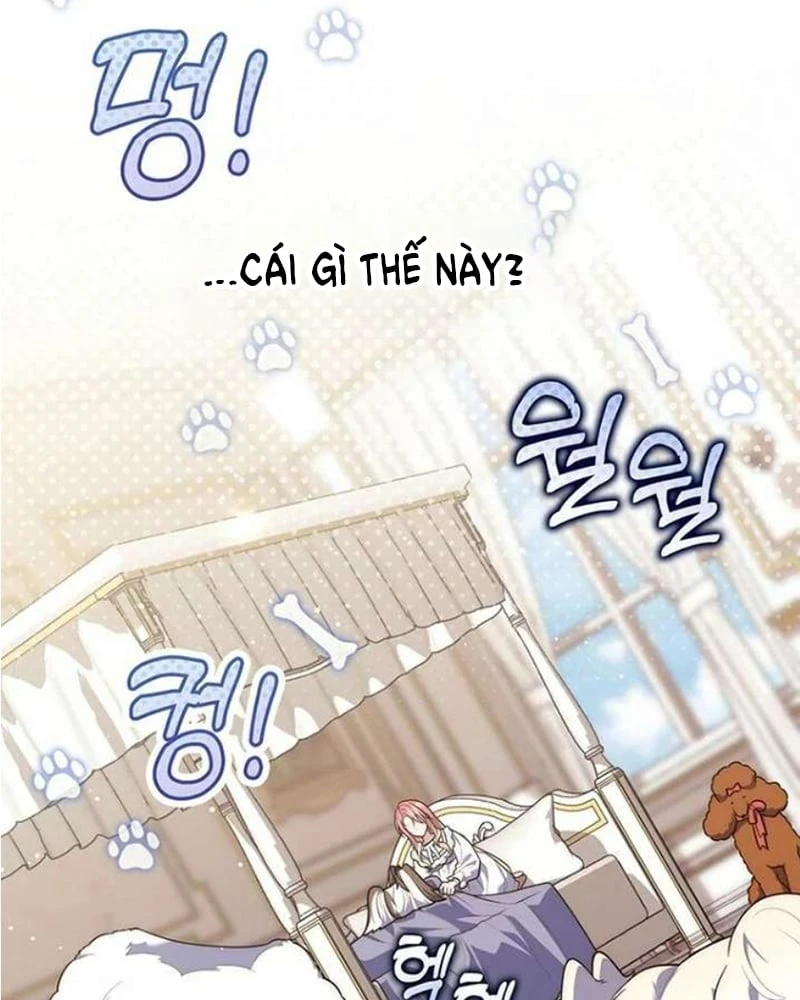 Nàng Công Chúa Tiên Tri Chapter 145 - 122