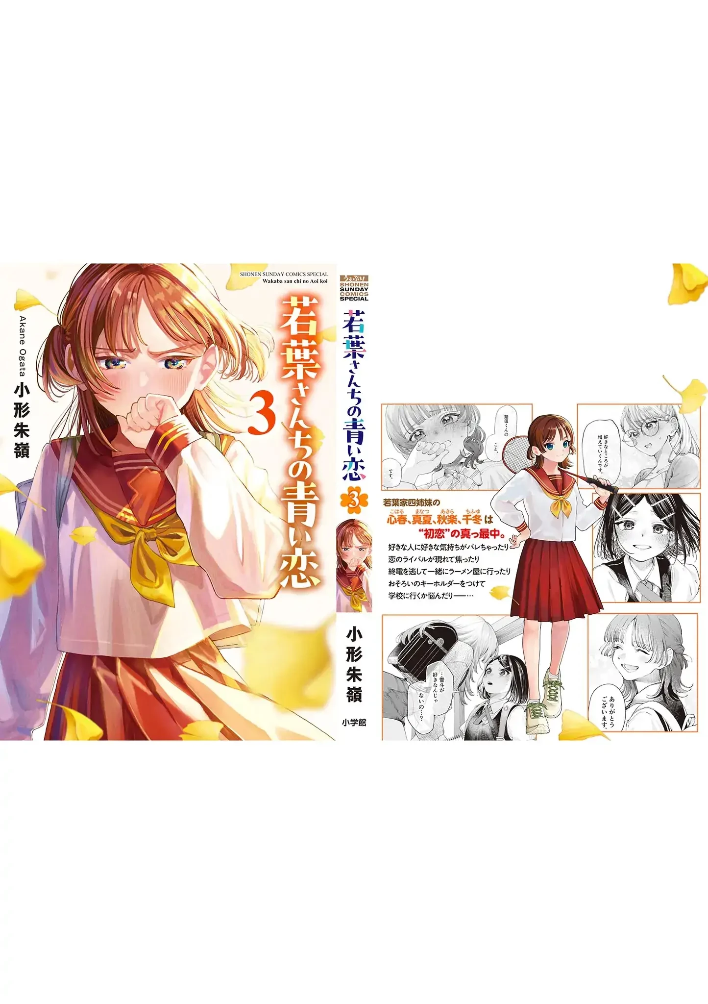 Tình yêu màu Lam nhà Wakaba Chapter 27.5 - 15