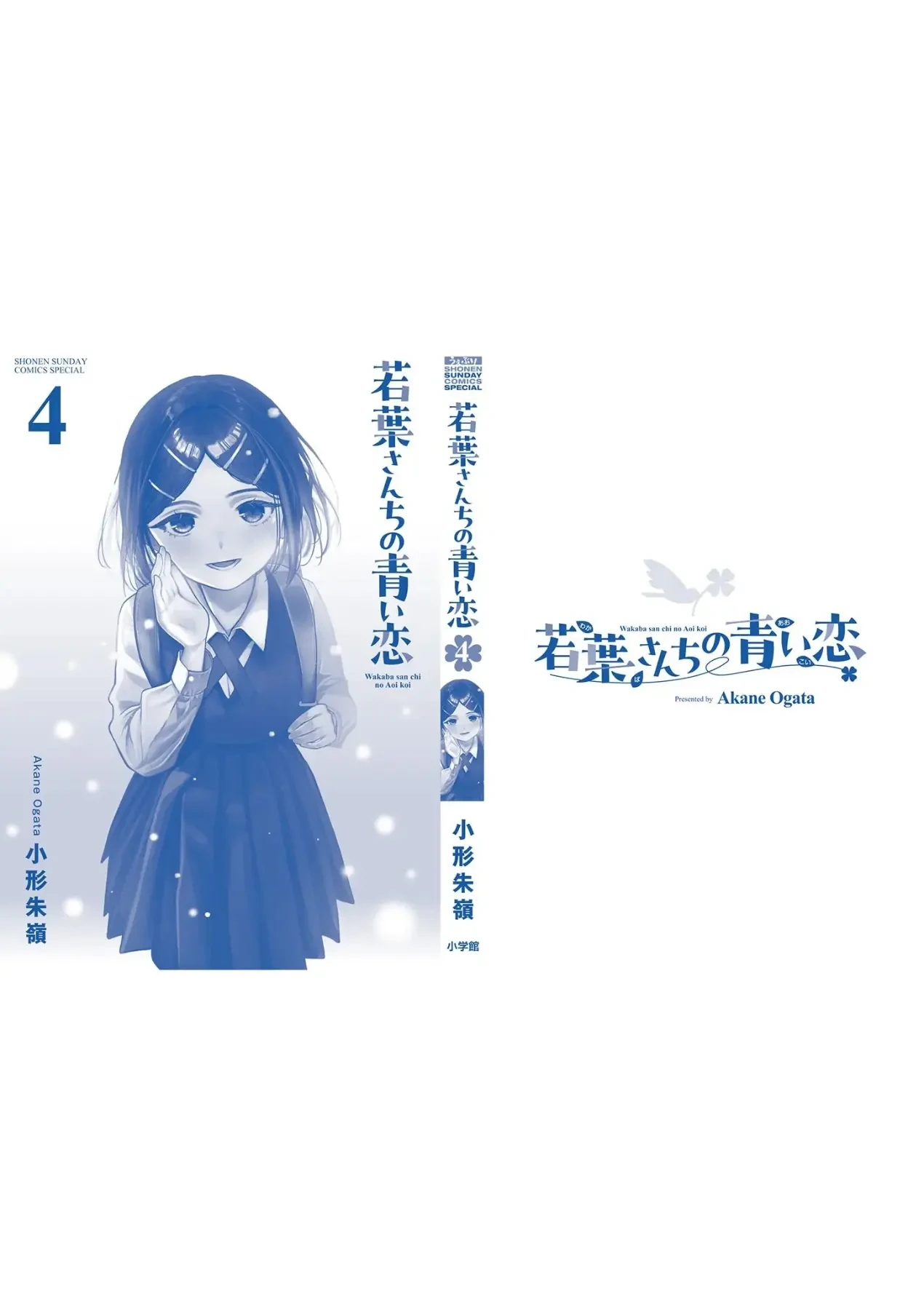 Tình yêu màu Lam nhà Wakaba Chapter  39.5 - 11