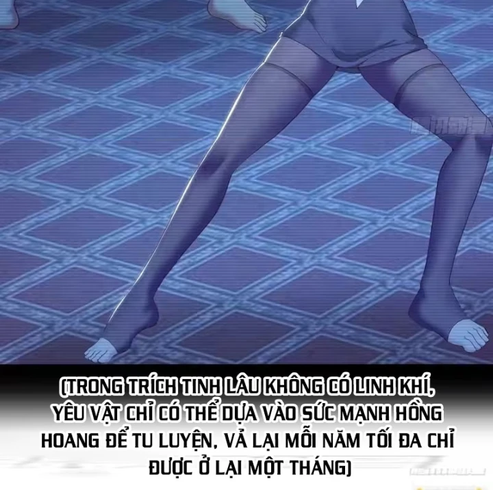 Trụ Vương Tái Sinh Không Muốn Làm Đại Phản Diện Chapter 192 - 63