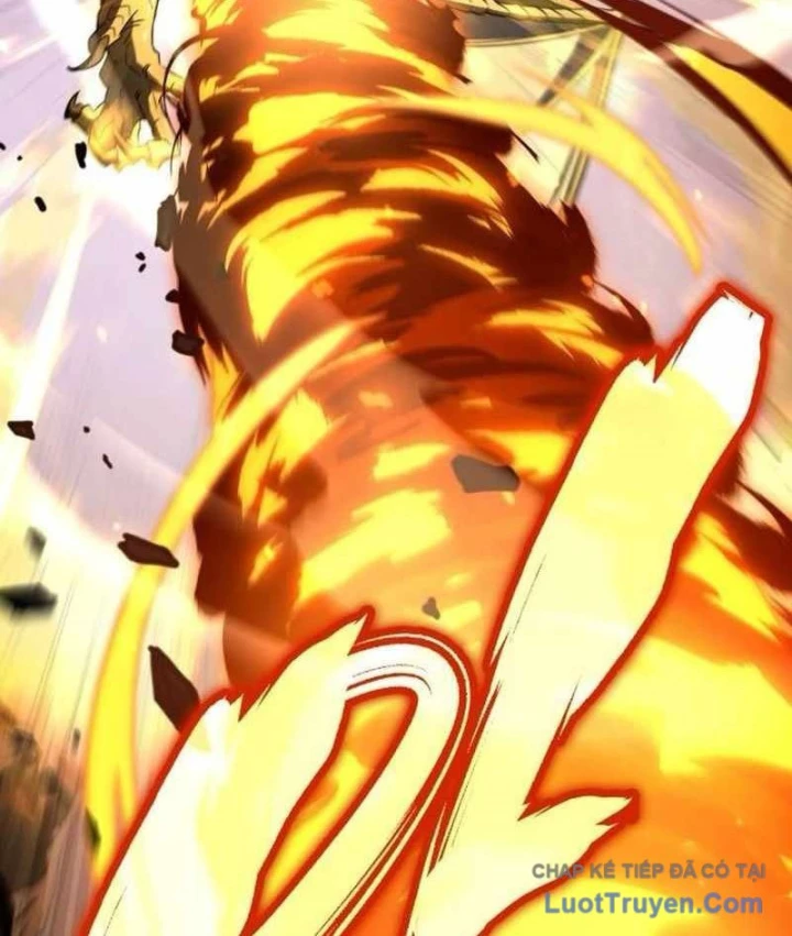 Kim Chiến Sĩ: Hành Trình Xây Dựng Đặc Tính Chapter 66 - 174