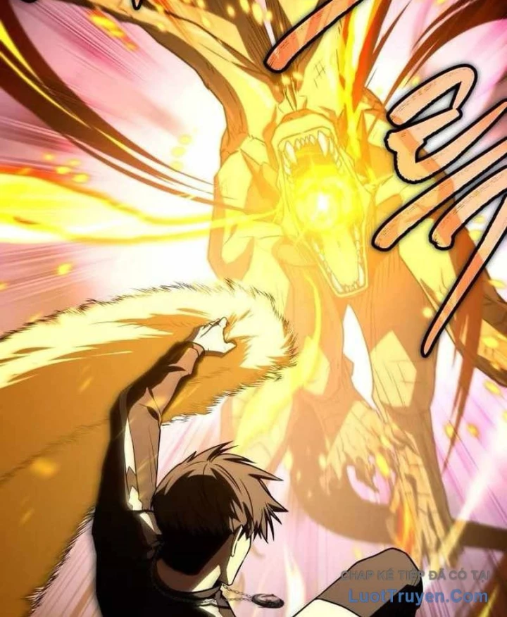 Kim Chiến Sĩ: Hành Trình Xây Dựng Đặc Tính Chapter 66 - 186