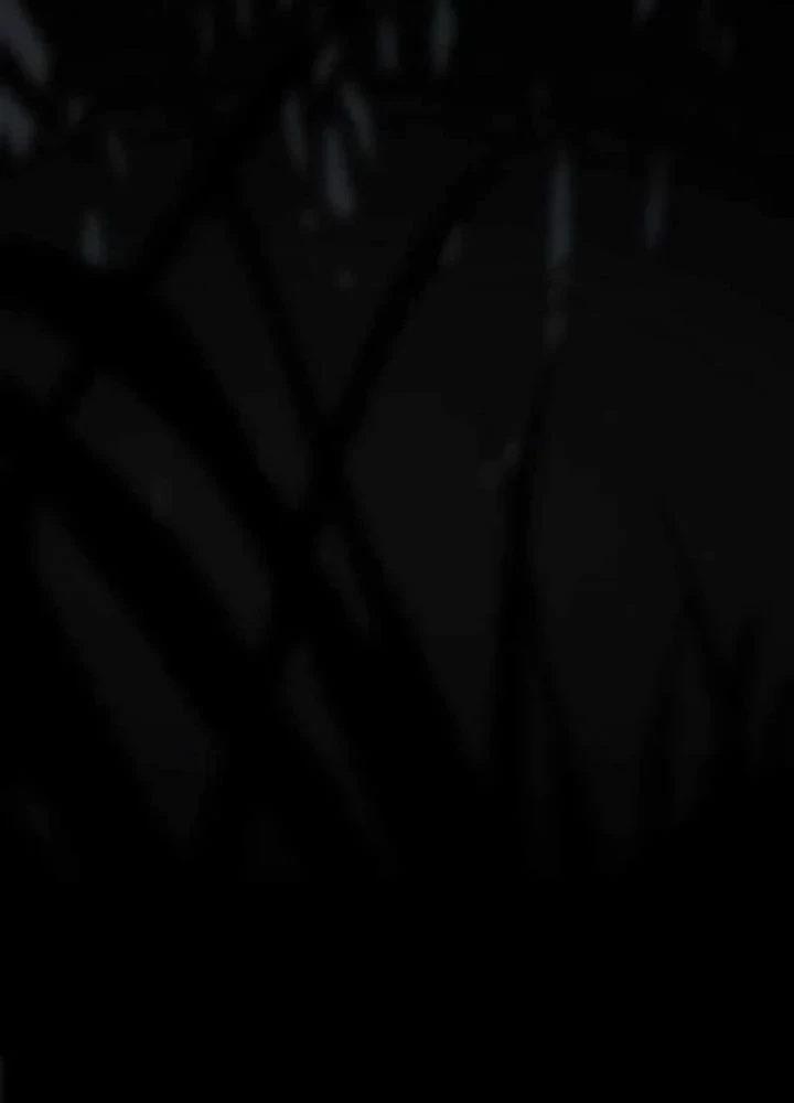 Kim Chiến Sĩ: Hành Trình Xây Dựng Đặc Tính Chapter 76 - 198