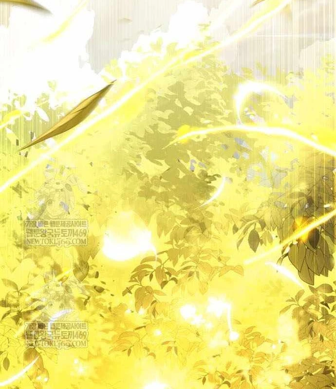 Kim Chiến Sĩ: Hành Trình Xây Dựng Đặc Tính Chapter 79 - 210