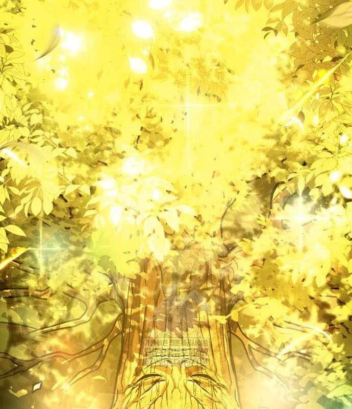 Kim Chiến Sĩ: Hành Trình Xây Dựng Đặc Tính Chapter 79 - 211