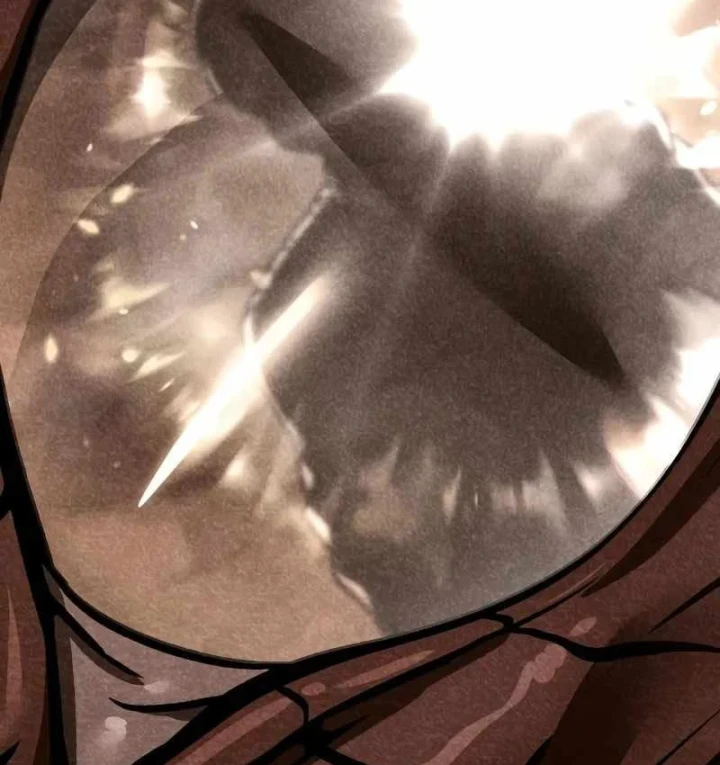 Kim Chiến Sĩ: Hành Trình Xây Dựng Đặc Tính Chapter 88 - 63