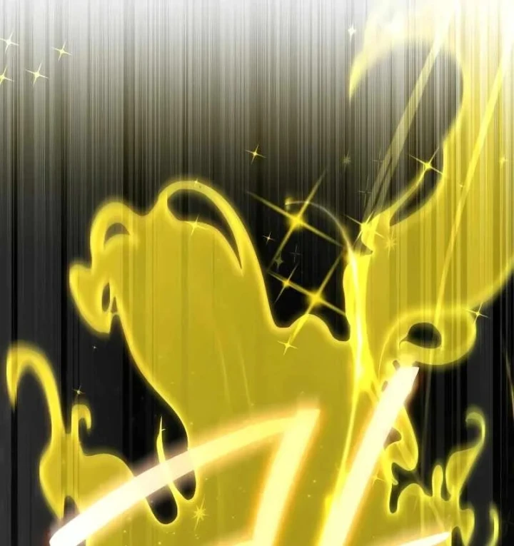 Kim Chiến Sĩ: Hành Trình Xây Dựng Đặc Tính Chapter 88 - 210