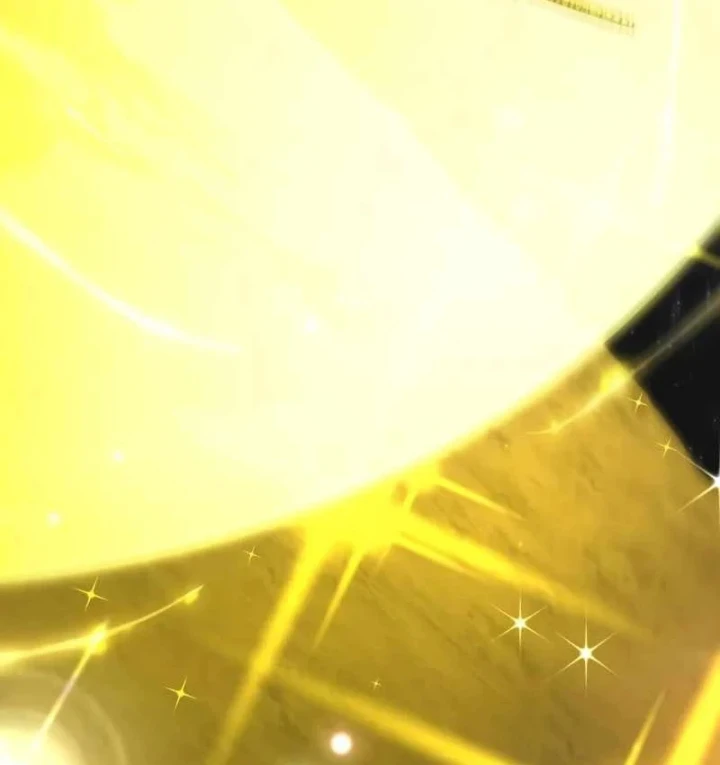 Kim Chiến Sĩ: Hành Trình Xây Dựng Đặc Tính Chapter 88 - 219