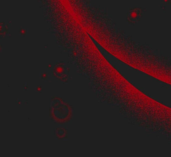 Lời Mời Gọi Của Hậu Cung Chapter 23.2 - 28