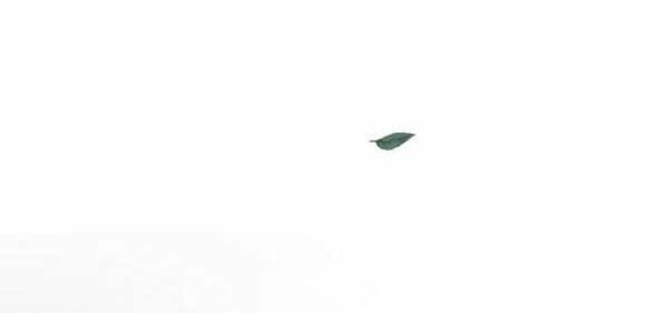 Lời Mời Gọi Của Hậu Cung Chapter 23.2 - 40