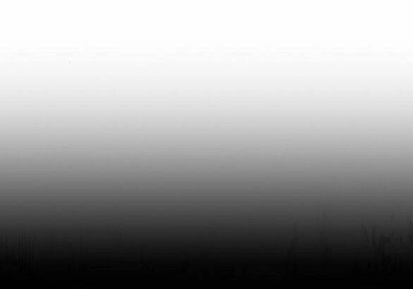 Lời Mời Gọi Của Hậu Cung Chapter 30.1 - 55