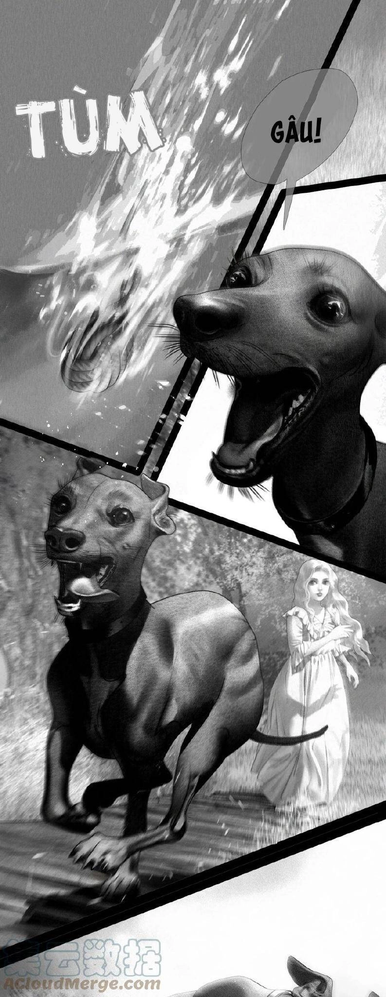 Aisha Chapter 15 - 17