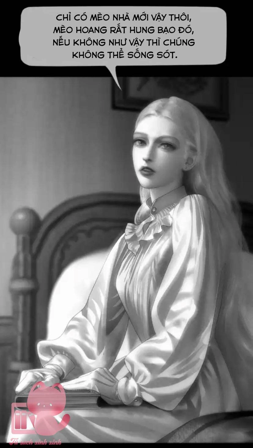 Aisha Chapter 46 - 13