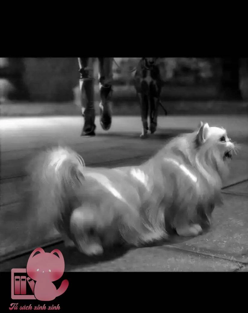 Aisha Chapter 46 - 33