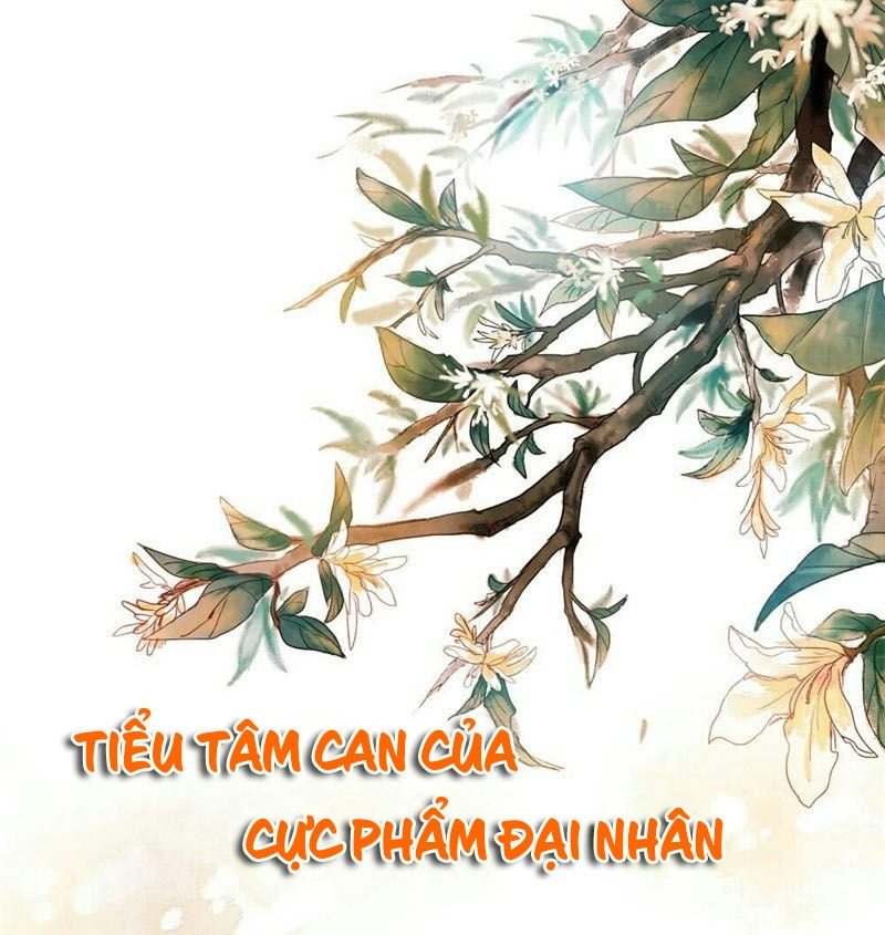 Tiểu Tâm Can Của Cực Phẩm Đại Nhân Chapter 14 - 2