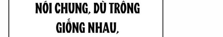 Chuyên Gia Côn Trùng tại Đường Gia Tứ Xuyên Chapter 50 - 128