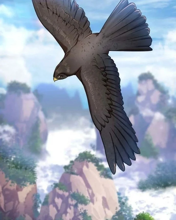 Hoạn Quan Hồi Quy: Tróc Phong Truy Nguyệt Chapter 75 - 2