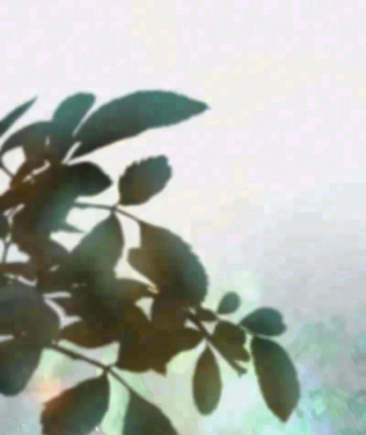 Hoạn Quan Hồi Quy: Tróc Phong Truy Nguyệt Chapter 88 - 1