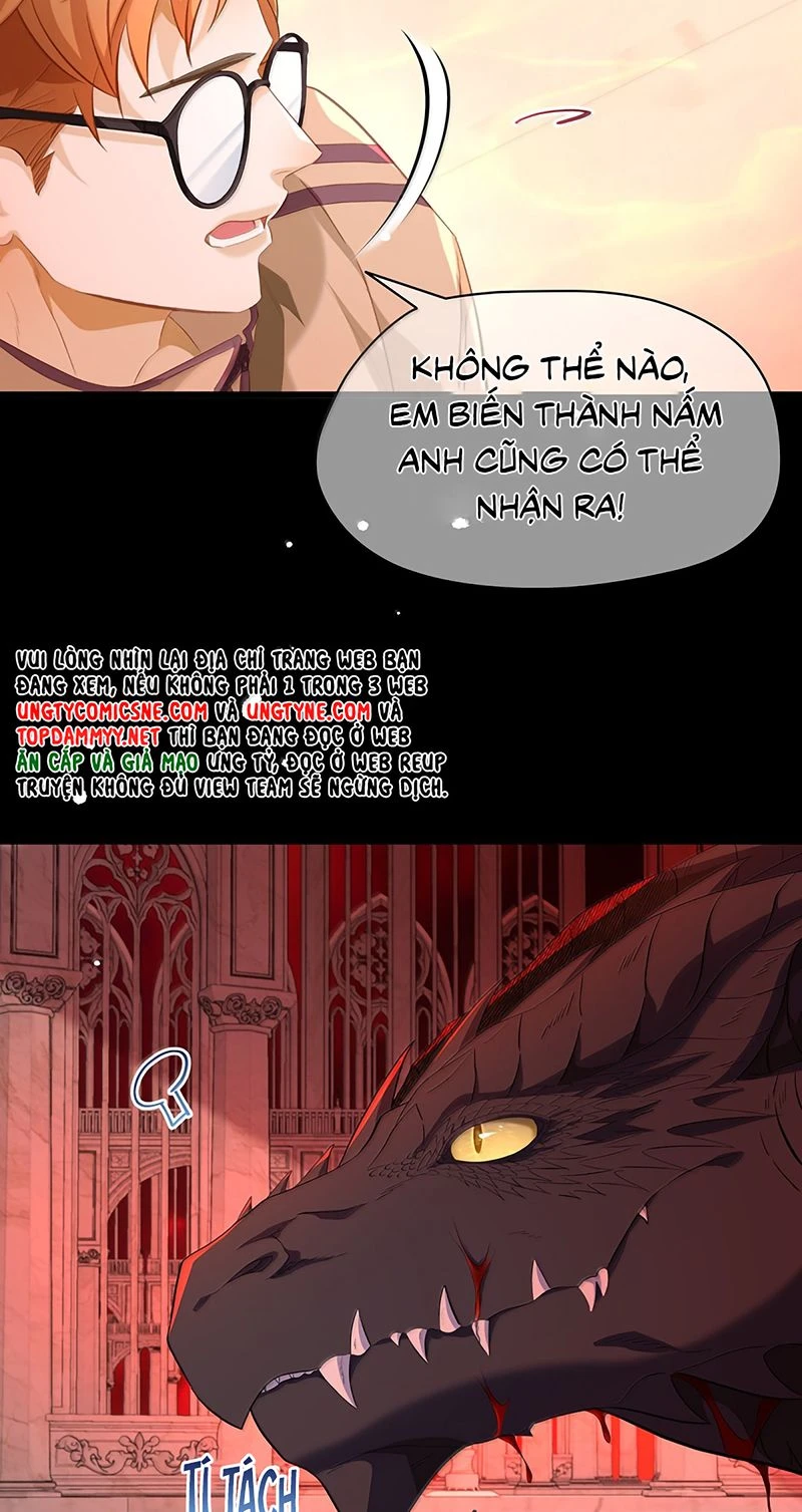 Tôi Trùng Sinh Trở Thành Tiểu Ác Long Của Vương Tử Điện Hạ Chapter 121 - 10