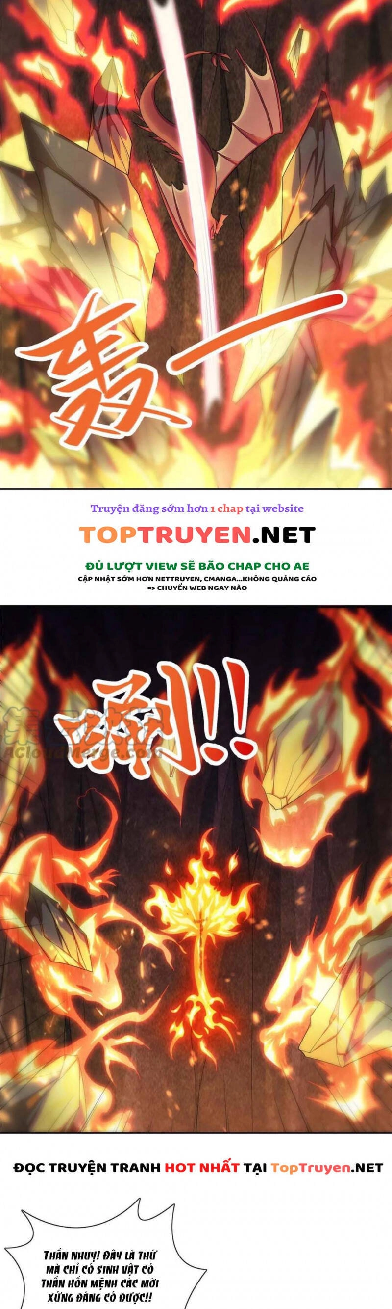 Mục Long Sư Chapter 247 - 9