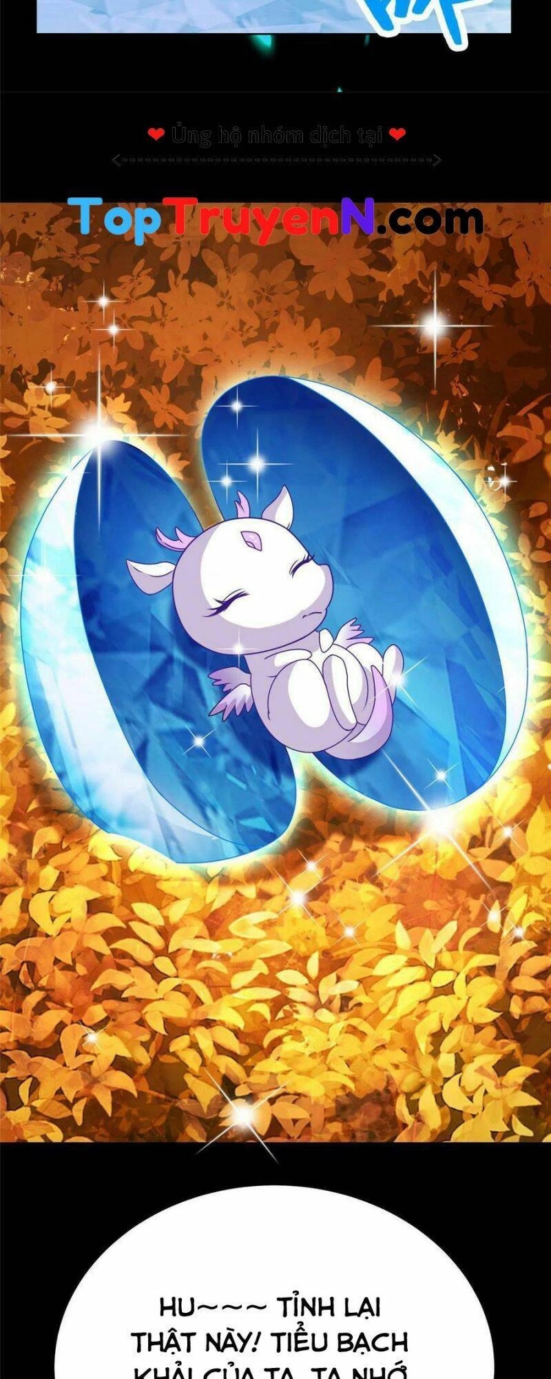 Mục Long Sư Chapter 294 - 13