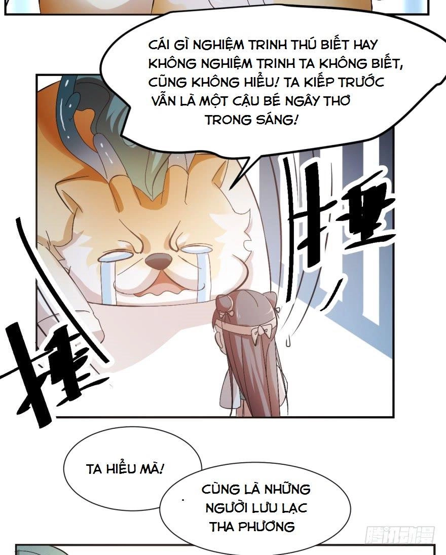 Độc Bộ Thiên Hạ: Đặc Công Thần Y Chapter 3 - 37