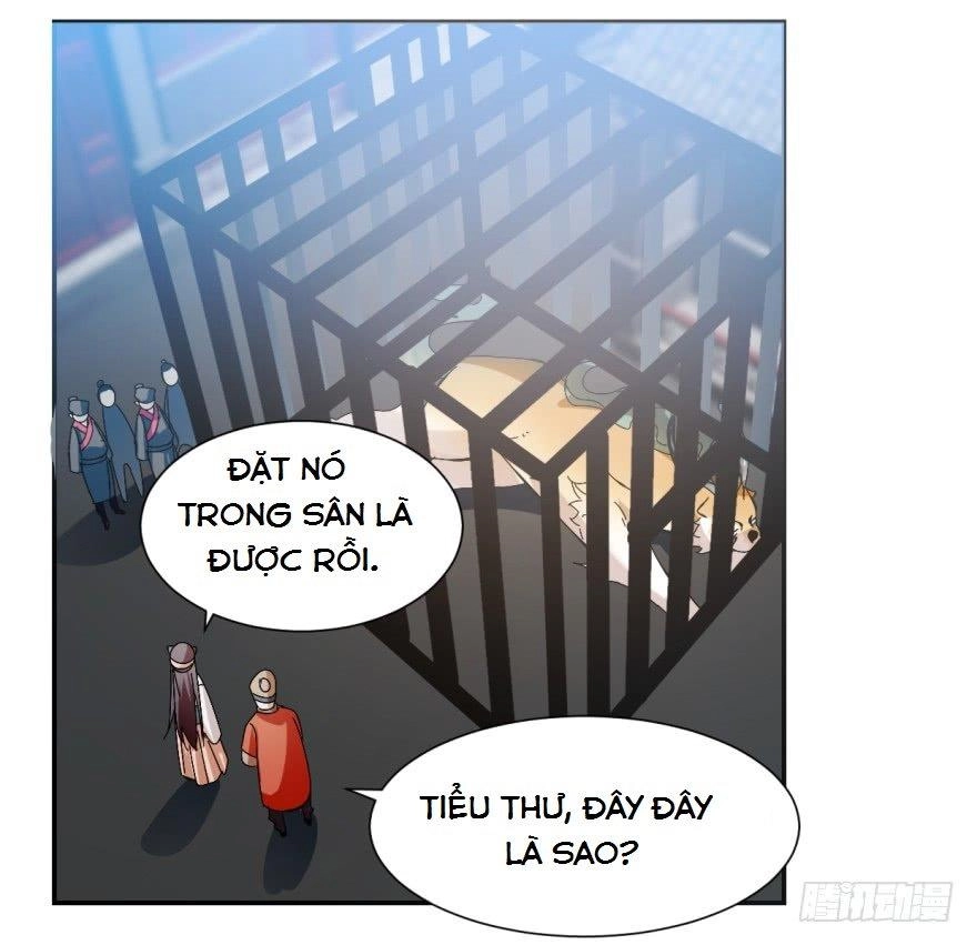 Độc Bộ Thiên Hạ: Đặc Công Thần Y Chapter 3 - 58