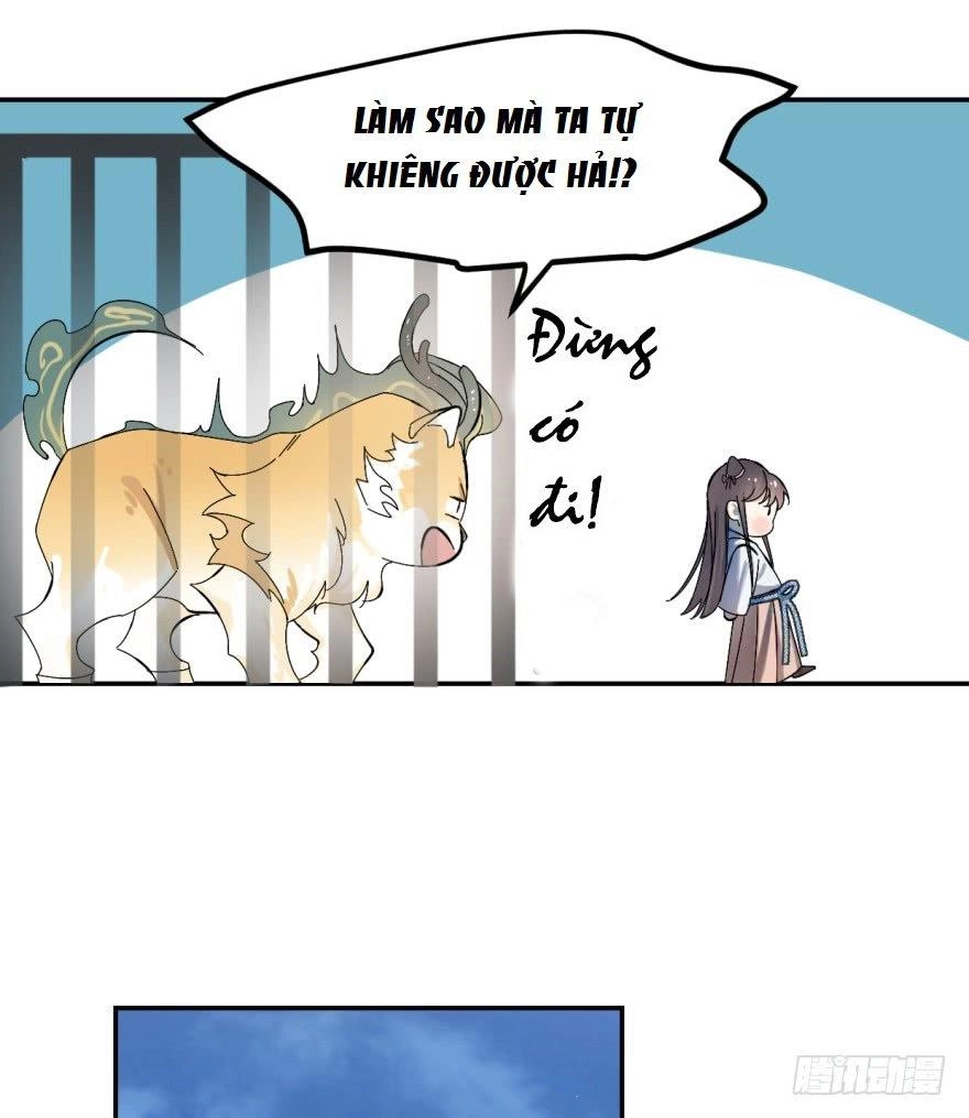 Độc Bộ Thiên Hạ: Đặc Công Thần Y Chapter 4 - 12