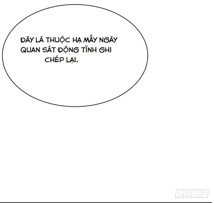 Độc Bộ Thiên Hạ: Đặc Công Thần Y Chapter 8 - 37