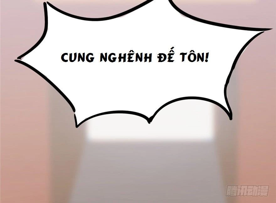 Độc Bộ Thiên Hạ: Đặc Công Thần Y Chapter 20 - 19