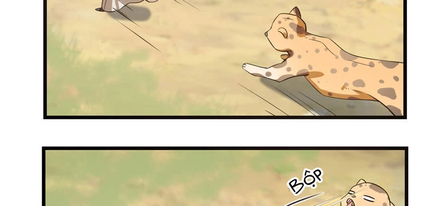 Độc Bộ Thiên Hạ: Đặc Công Thần Y Chapter 23 - 132