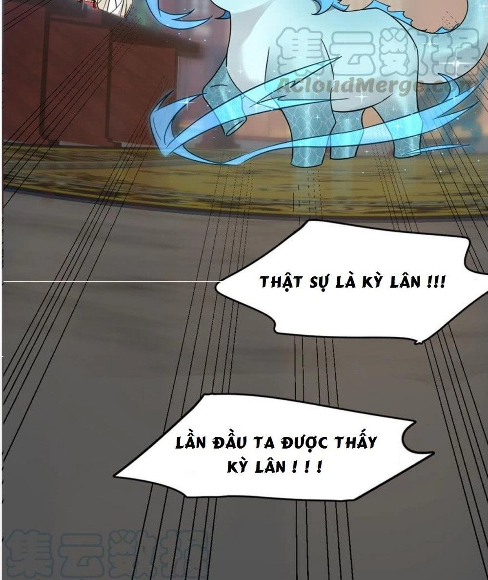 Độc Bộ Thiên Hạ: Đặc Công Thần Y Chapter 75 - 14