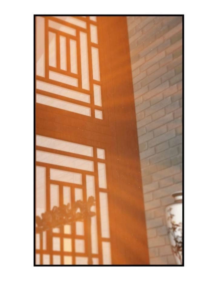 Độc Bộ Thiên Hạ: Đặc Công Thần Y Chapter 129 - 2