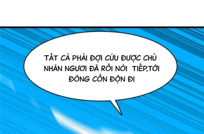 Độc Bộ Thiên Hạ: Đặc Công Thần Y Chapter 156 - 31