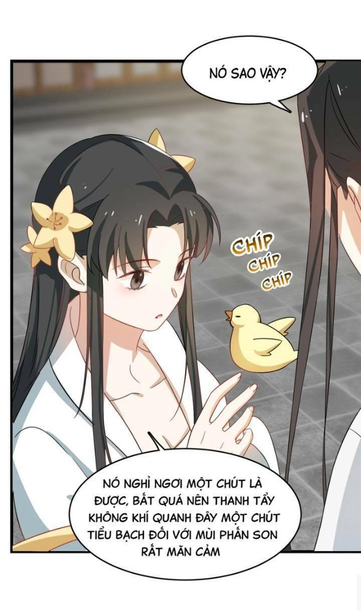 Độc Bộ Thiên Hạ: Đặc Công Thần Y Chapter 163 - 22