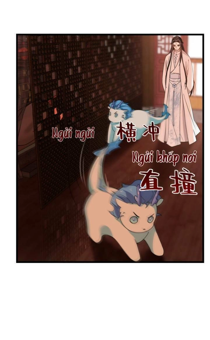 Độc Bộ Thiên Hạ: Đặc Công Thần Y Chapter 163 - 28