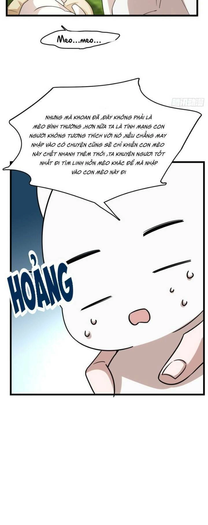 Độc Bộ Thiên Hạ: Đặc Công Thần Y Chapter 183 - 16