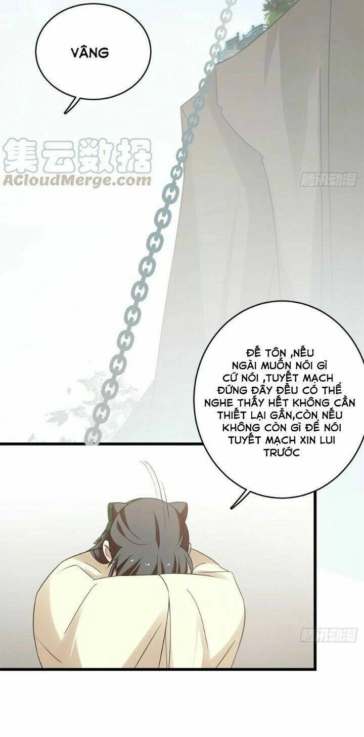 Độc Bộ Thiên Hạ: Đặc Công Thần Y Chapter 201 - 14