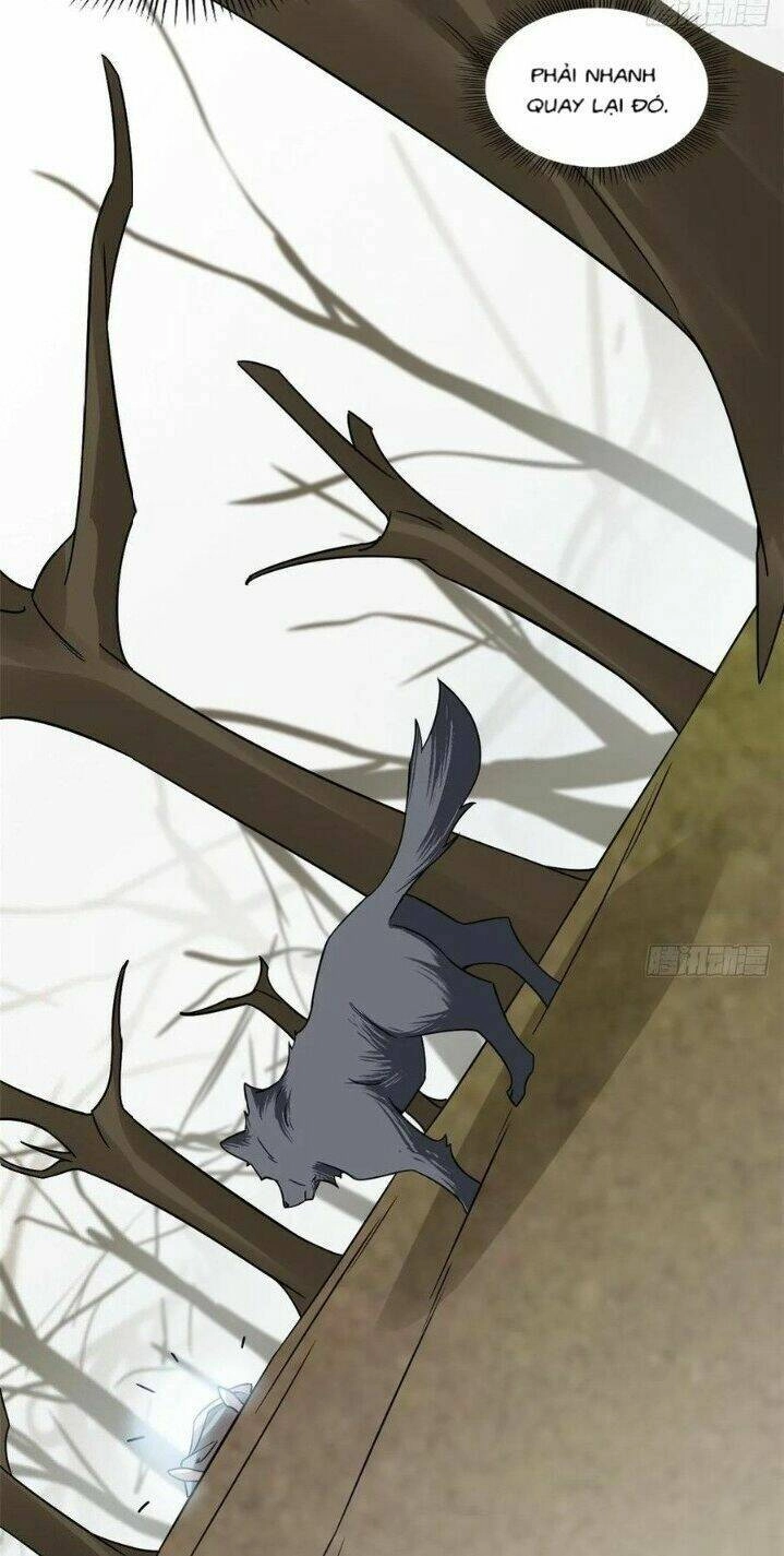 Độc Bộ Thiên Hạ: Đặc Công Thần Y Chapter 203 - 12