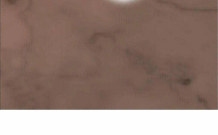 Độc Bộ Thiên Hạ: Đặc Công Thần Y Chapter 240 - 24