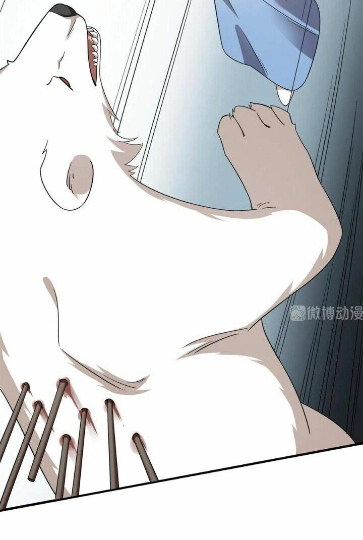 Độc Bộ Thiên Hạ: Đặc Công Thần Y Chapter 254 - 10