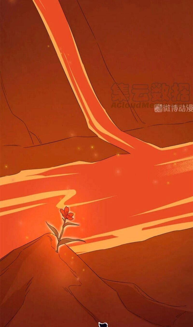 Độc Bộ Thiên Hạ: Đặc Công Thần Y Chapter 284 - 3