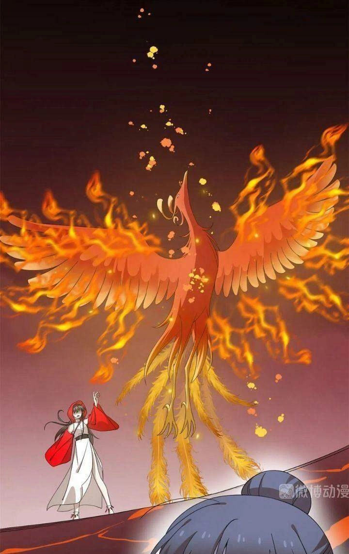 Độc Bộ Thiên Hạ: Đặc Công Thần Y Chapter 307 - 26