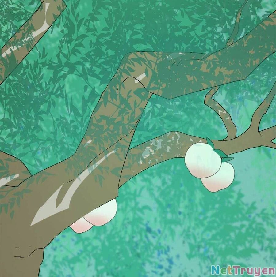 Độc Bộ Thiên Hạ: Đặc Công Thần Y Chapter 354 - 14