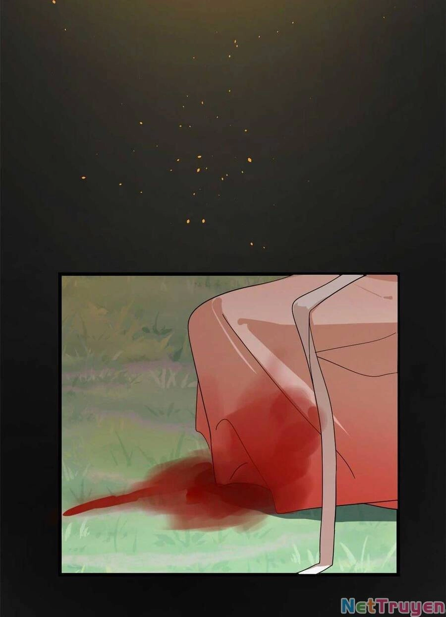 Độc Bộ Thiên Hạ: Đặc Công Thần Y Chapter 356 - 16