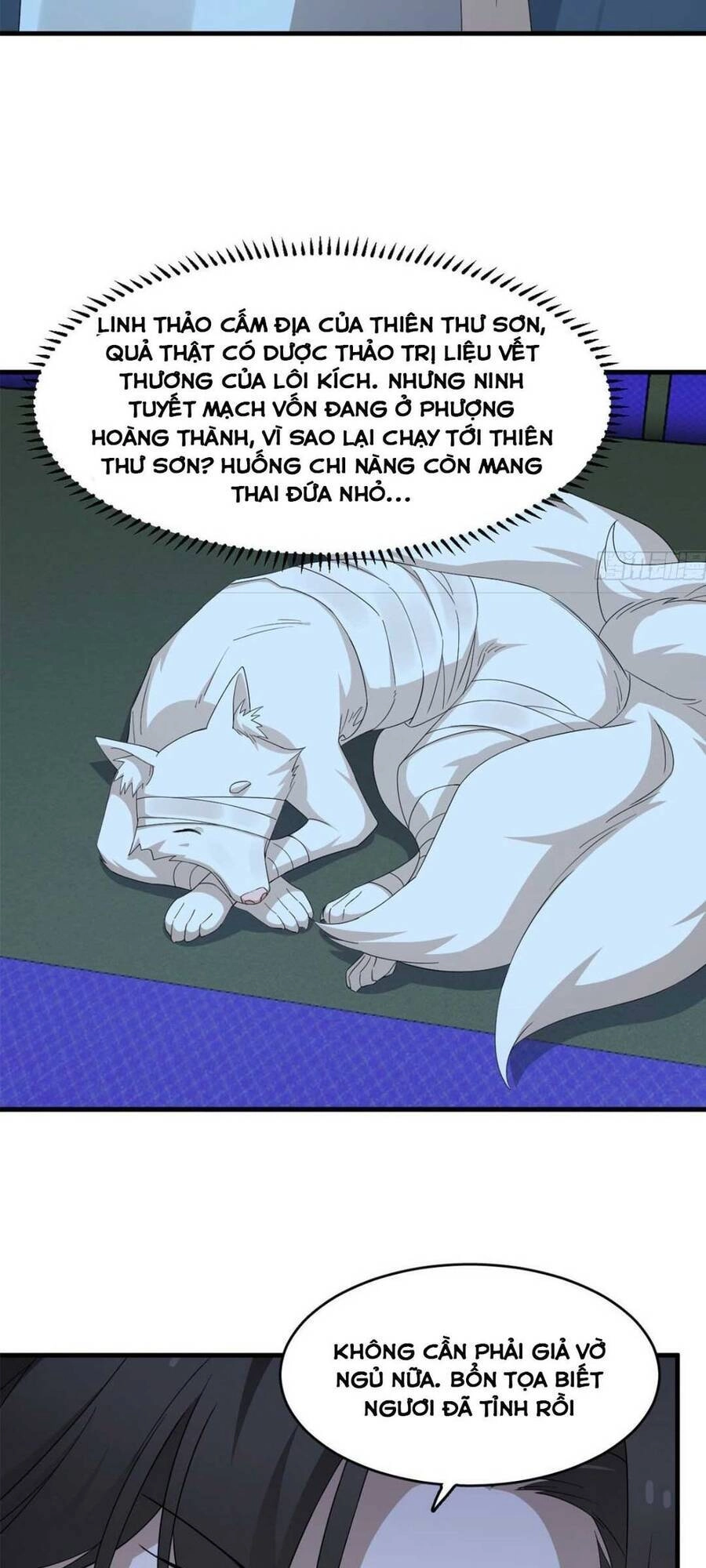 Độc Bộ Thiên Hạ: Đặc Công Thần Y Chapter 361 - 12