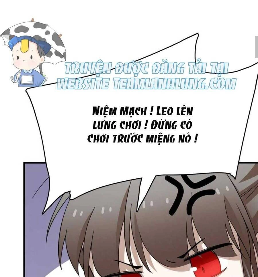 Độc Bộ Thiên Hạ: Đặc Công Thần Y Chapter 400 - 11