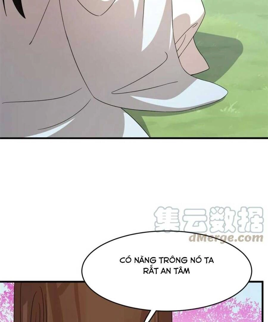 Độc Bộ Thiên Hạ: Đặc Công Thần Y Chapter 401 - 6