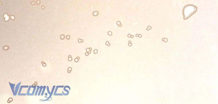Em Trai Tôi Là Hoàng Đế Ngang Ngược Chapter  101 - 101