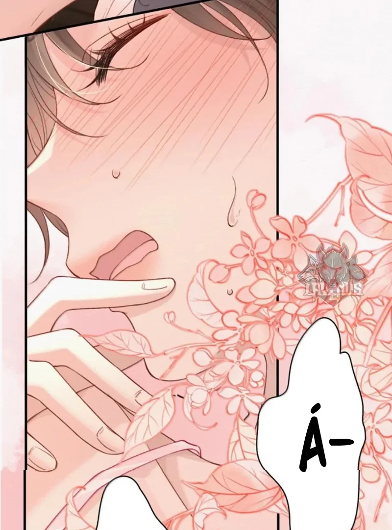 Ảnh Riêng Tư Chapter 55 - 26